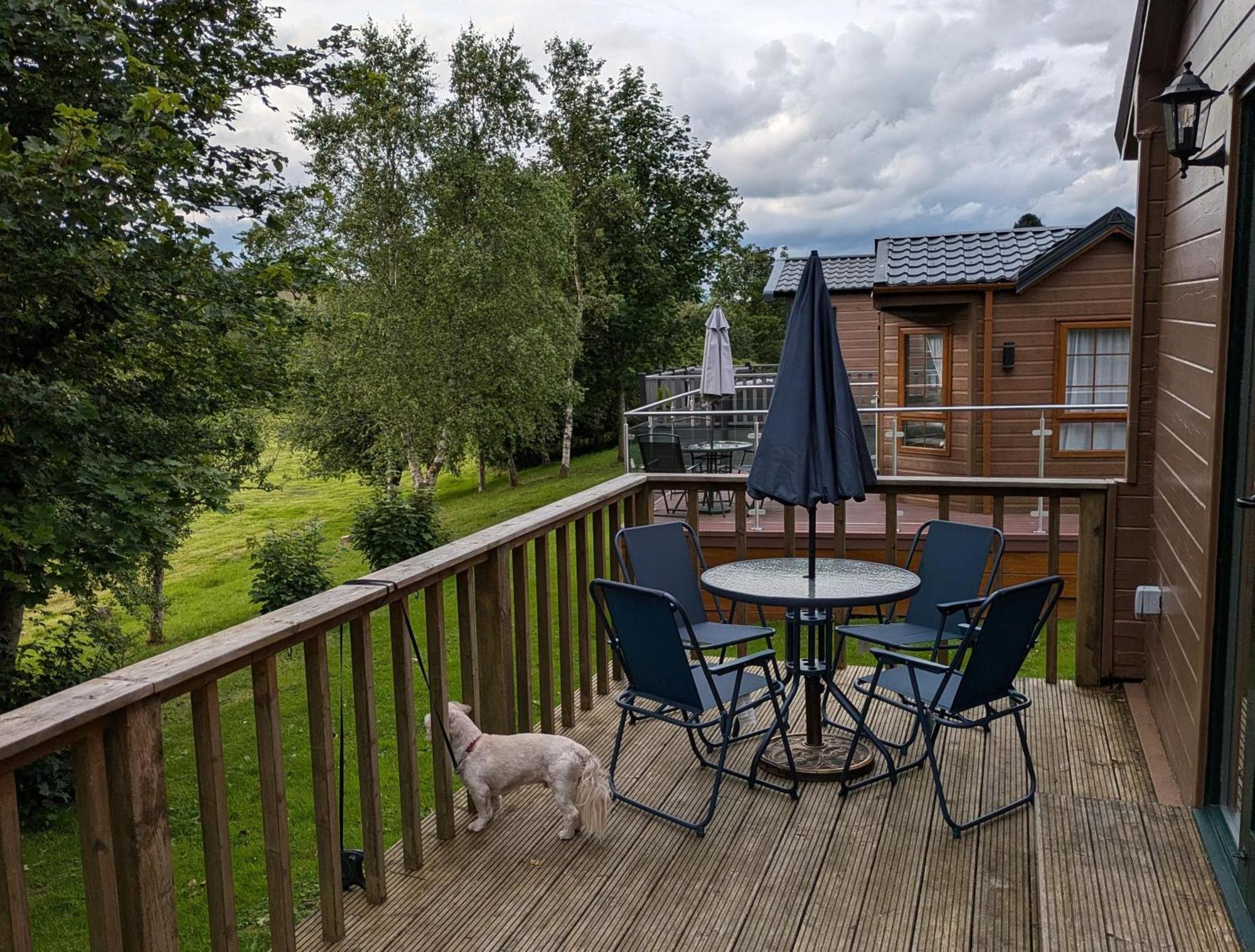 Rustic Lodge Retreat At Riverview Holiday Park Newcastleton 외부 사진